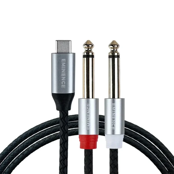 کابل تایپ C به دو TS امیننس