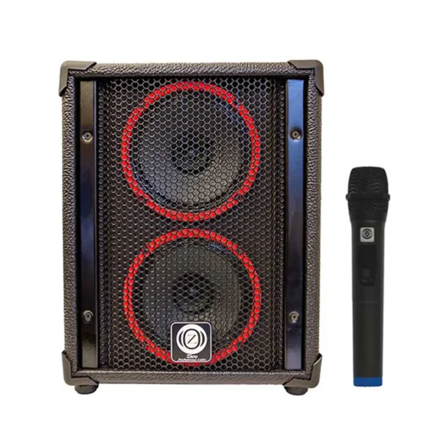 اکو همراه 6×2 اینچ بامیکروفون زیکو