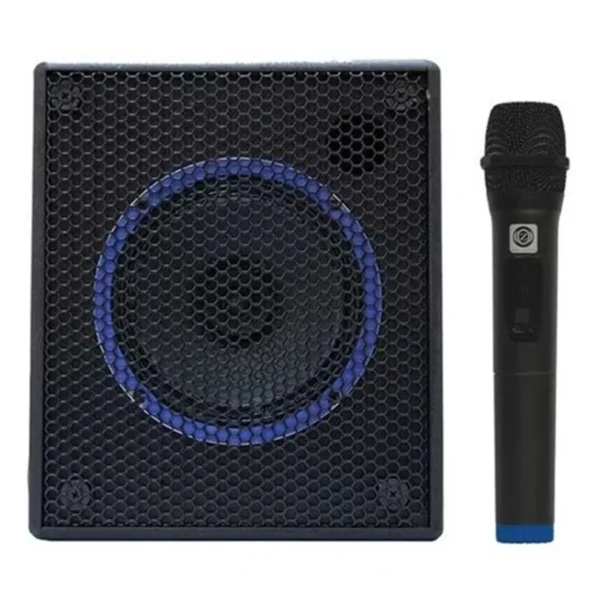 اکو همراه 6 اینچ زیکو با میکروفون